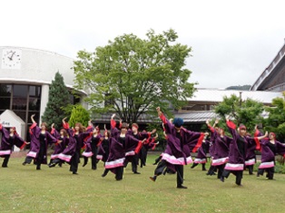 第25回つわぶき祭を開催しました！