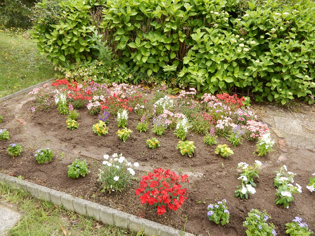 平岡都さん記念花壇「Garden of Hope」の花苗の植え替えをしました