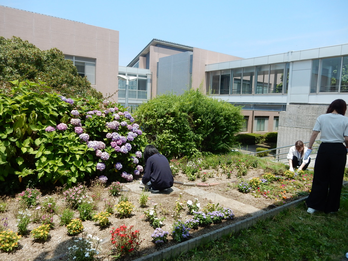 平岡都さん記念花壇「Garden of Hope」の手入れをしました。