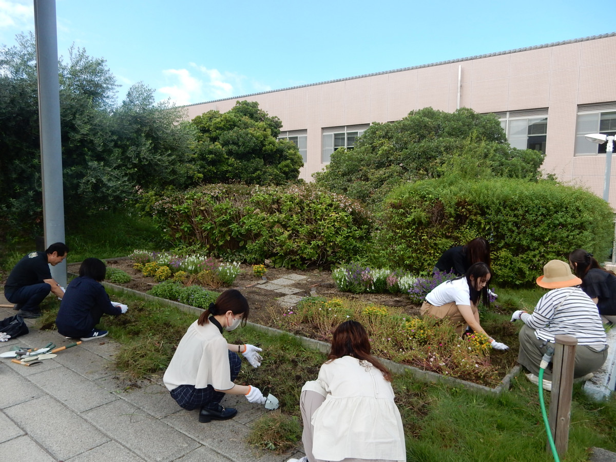 平岡都さん記念花壇「Garden of Hope」の手入れをしました。